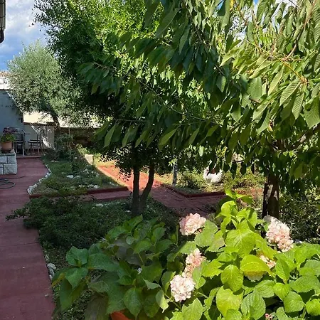 Nonna Alida Pula